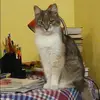 Отзыв от Эмма Мальцева